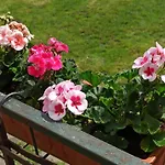 Retro & Garden