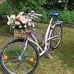 ホステル Retro & Garden