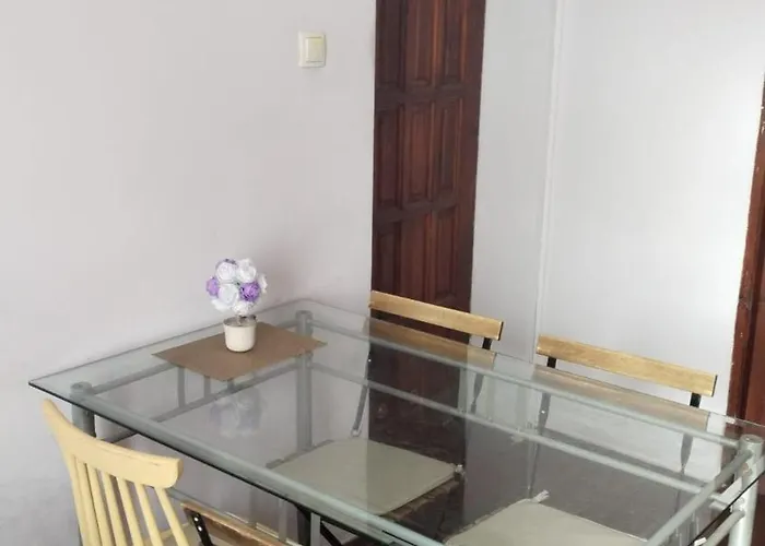 Retro & Garden Hostel