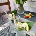 Retro & Garden Hostel