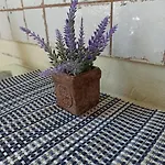 Retro Hostel&garden * Cracovia