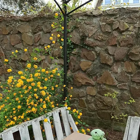Retro Hostel&garden