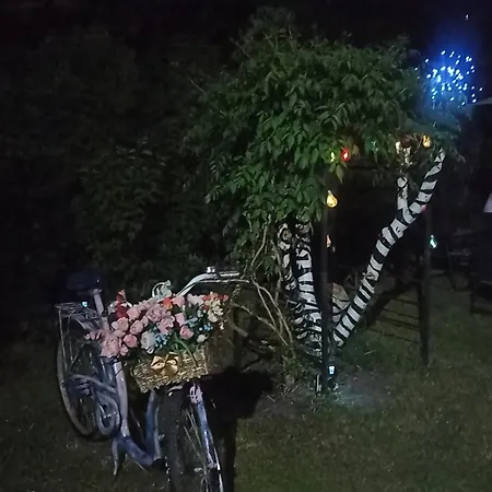 Vandrerhjem Retro & Garden