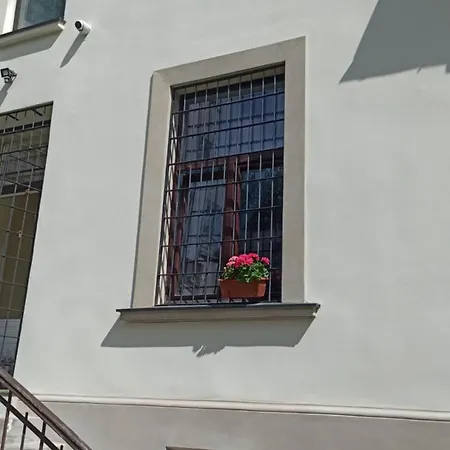 Retro & Garden *