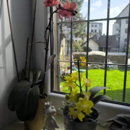 Retro & Garden Albergue *