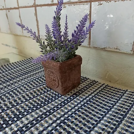 Retro & Garden * Kraków