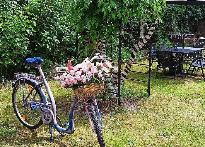 Retro & Garden 호스텔