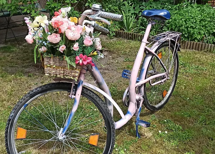 호스텔 Retro & Garden