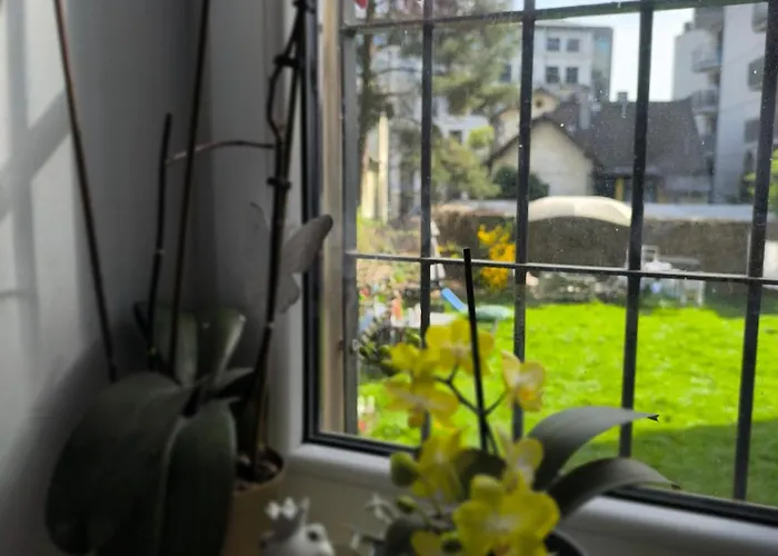 Retro & Garden Albergue *