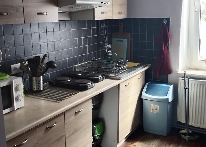 Retro & Garden 호스텔 *