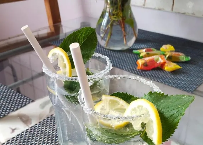 Retro & Garden Hostel