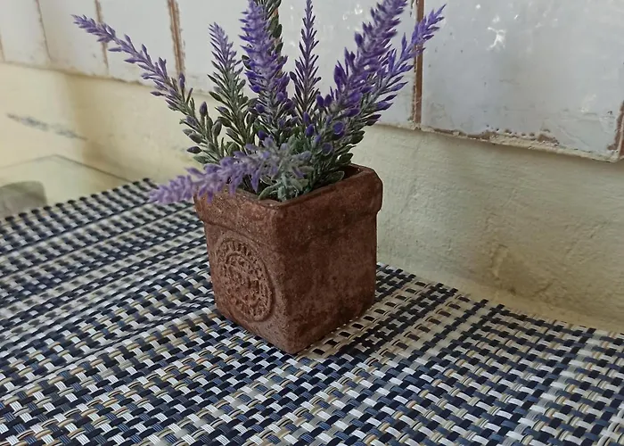 Retro & Garden * 크라쿠프