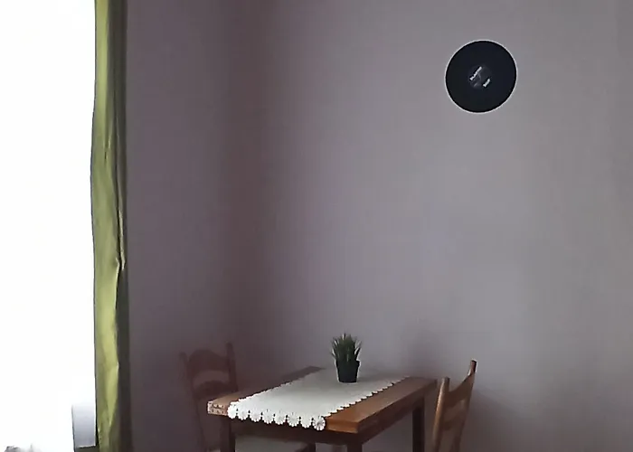 호스텔 Retro & Garden